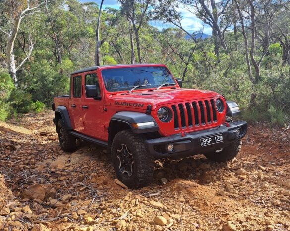 What’s big, red and eats rocks? – Driven Women Magazine